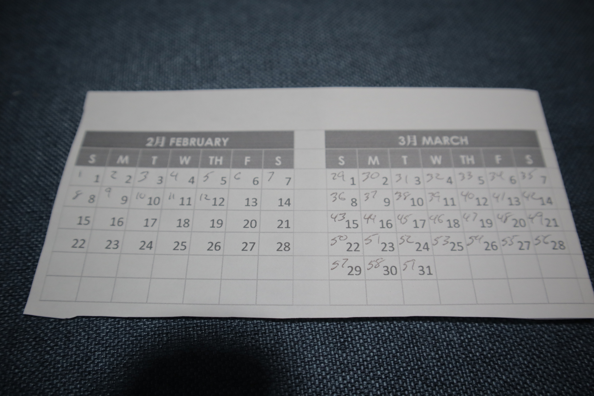 Calendar marked with review schedule