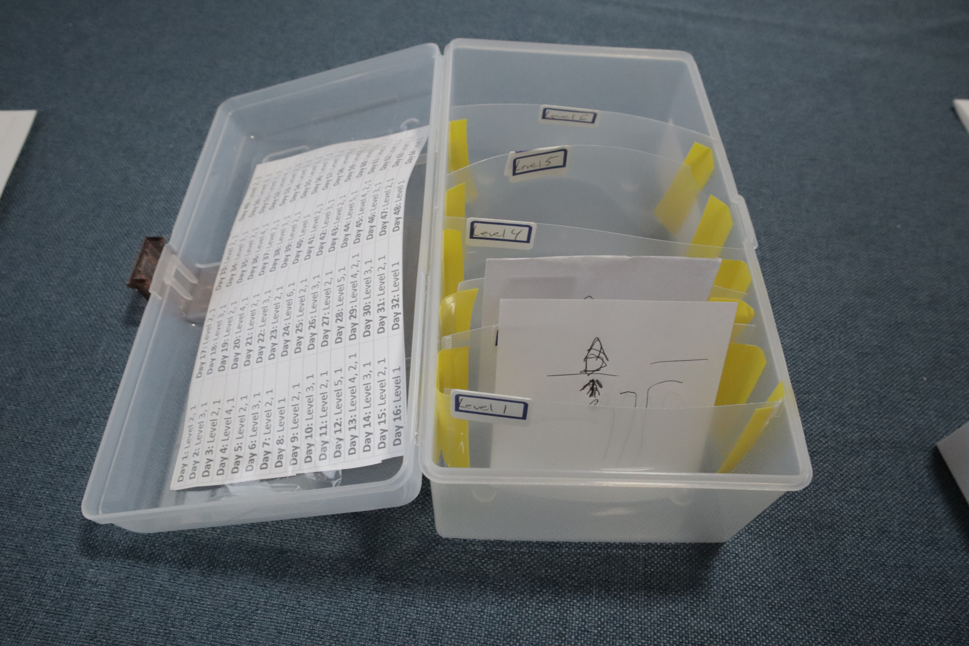 Box with labeled dividers from New to Level 7